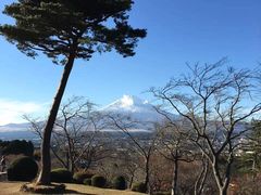 -富士山吉田線五合目
