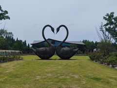 -东平国家森林公园