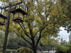 -木塔寺遗址生态公园