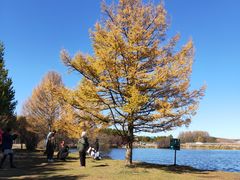 -塞罕坝国家级自然保护区