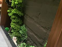 -俏东方·海味水饺·青岛菜(崂山店)