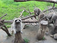 -齐齐哈尔龙沙动植物园
