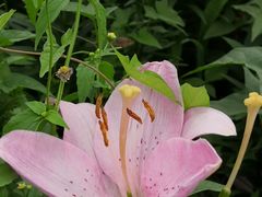 -长春公园(普阳街道)