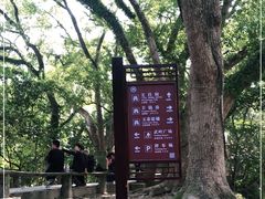 -蒋氏故居