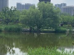-西海子公园