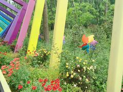 -合肥滨湖国家森林公园