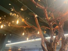 -梧桐树下(云锦世家店)