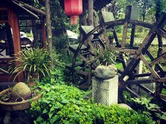 -青城甲(青城山店)