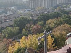 -上海东林寺(金山区)
