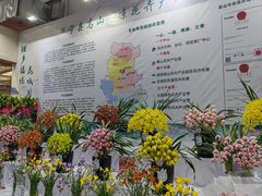 -东南花都花博园