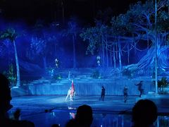 -三亚红色娘子军演艺公园景区