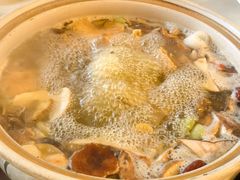 腊鹅菌子锅-山菌美食苑(振兴路店)