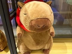 -廊坊固安福朋喜来登酒店