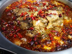 -姚树人麻辣鱼火锅(福泰路店)