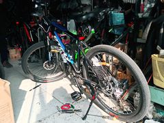 -道路口单车爱瓦士dahon大行