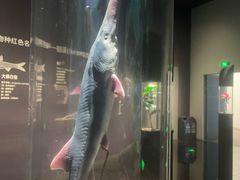 -中国湿地博物馆