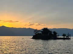-野菌皇海景野生菌火锅(滨海大道店)