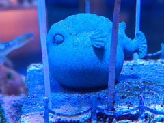 -欢乐海岸海洋奇梦馆