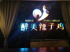 -天山醉美辣子鸡(文艺路店)