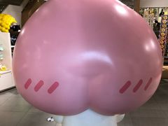 -KAKAO FRIENDS(弘大店)