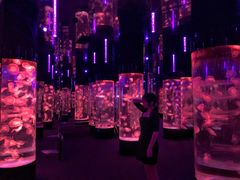 -成都浩海立方海洋公园