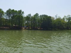 -上海海湾国家森林公园