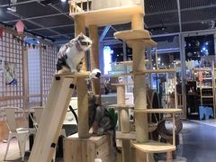 -小时光咖啡馆(开森度假森林店)