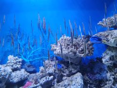 -成都浩海立方海洋公园