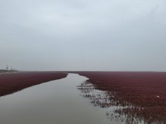 -红海滩国家风景廊道