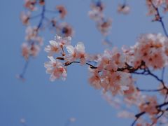 -永乐路-路侧停车场