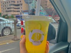 青提柠檬茶-LIMITED EXPRESS 限定快线