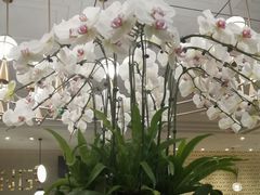 -鹿港小镇(霄云店)