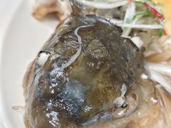 -鹭岛新泉客家菜·海鲜·融合菜(莲前店)