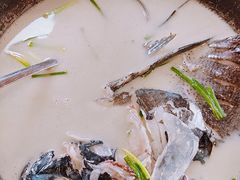 鱼头汤-丰乐餐厅·始于1999·本地老字号