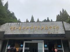-井冈山革命烈士陵园