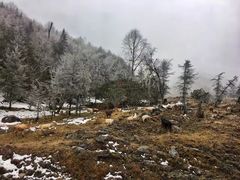 -硗碛藏寨·神木垒景区