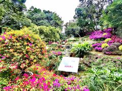 -广州市白云山风景名胜区