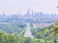-火炉山森林公园