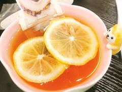 -逗柴咖啡屋·狗咖猫咖宠物桌游