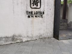 -几荷·恰似故人来(秀水广场店)
