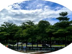 -深圳国际园林花卉博览园