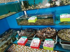 -港畔赶海蒸汽海鲜烧烤自助(仙螺岛店)