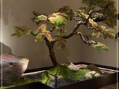 -湘上湘(米其林餐厅-正大中心总店)