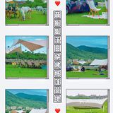 特色地道三亚美食｜好吃不踩雷合集！！