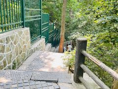 -紫金山山顶公园