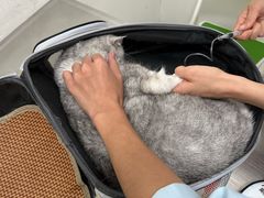 -汪喵宠物医院·骨科心脏影像·犬猫急重症ICU诊疗中心(成华分院)