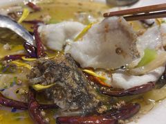 老坛酸菜鲈鱼-鱼库·不仅是一家烤鱼店(车公庙店)