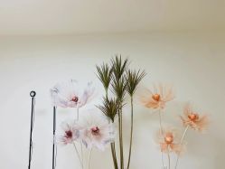 -美肤盾祛痘·问题肌头疗管理中心