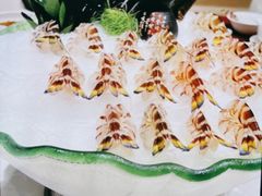 瀨尿蝦刺身-嘉升大排档(番禺总店)