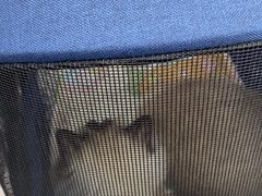 -四月宠物医院·猫专科·心脏专科·内科(转塘店)